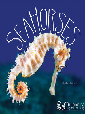 cover image of Sea Horses